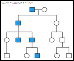 pedigree chart Y linked trait