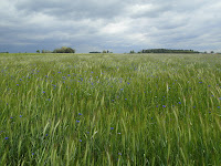 SAM_5622.JPG Photo