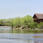 IMG_7702.JPG