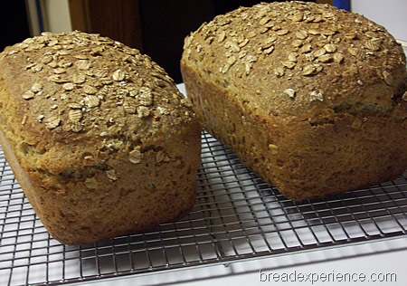 multigrain-spelt-bread-with-soaker 026