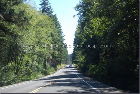 DSC_0964 DSC_0964
