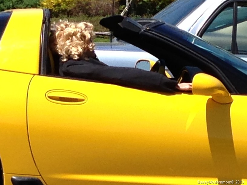 [CrazyPassenger%255B16%255D.jpg]