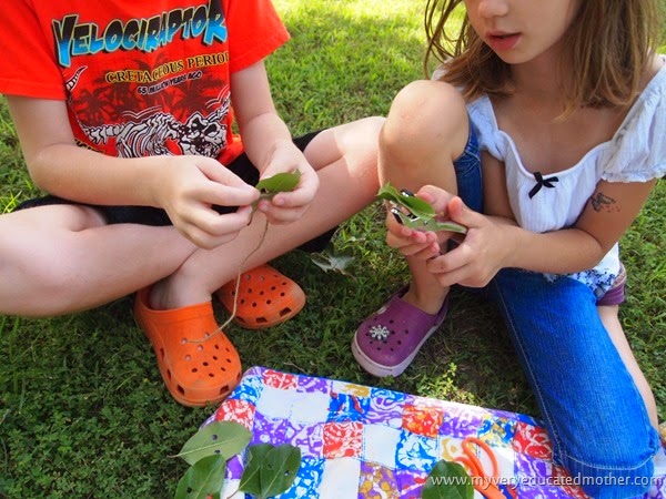#campcraft Working together #craftlighning #campcraft Working together #craftlighning