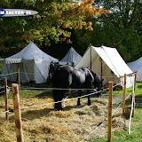 Slag om Grolle 2012 131 (Custom).JPG