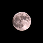 DSC_3043.jpg