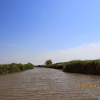 IMG_5683.JPG