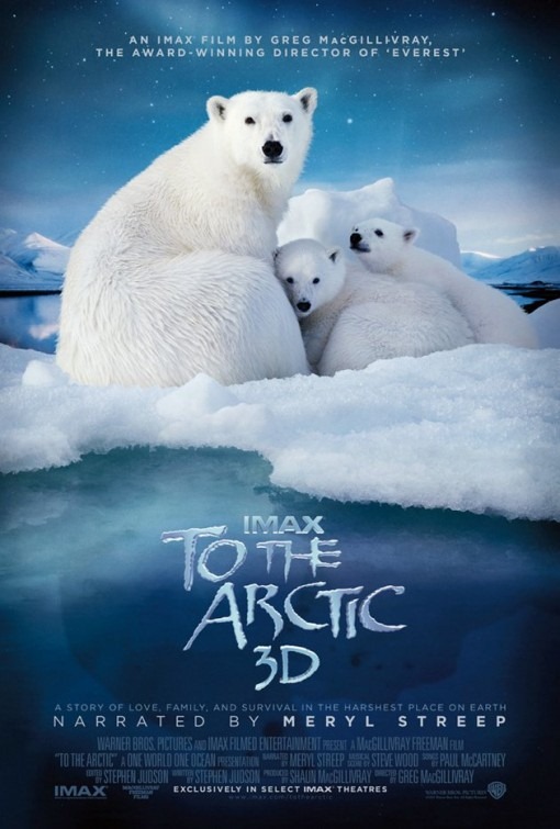 To the Arctic 3D poszter