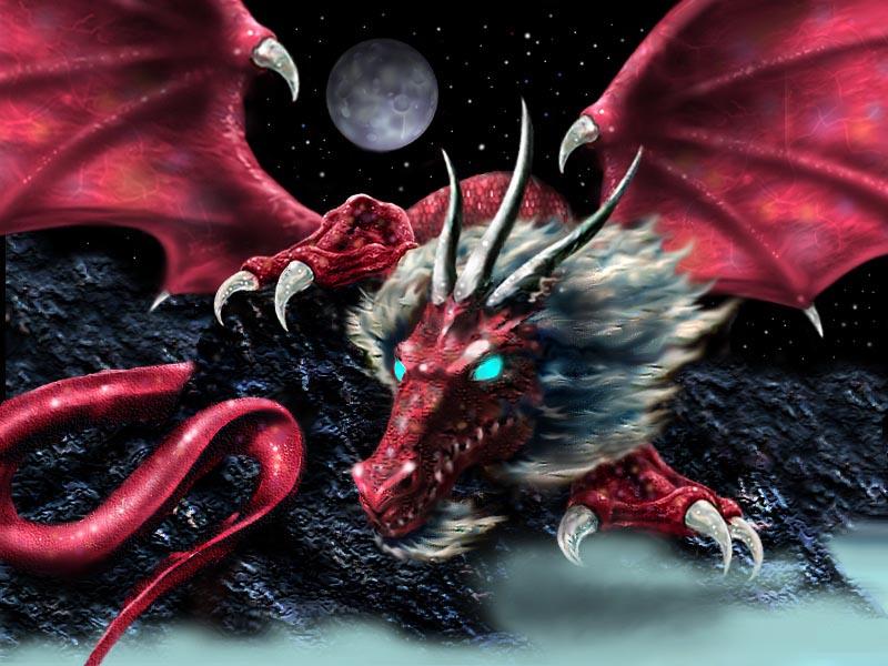 Dragon Elder, Dragons