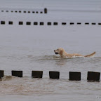20100826_066_small.JPG