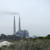2008-07-19 kayaking elkhorn slough