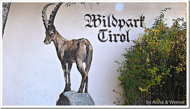 2011_10_30_056_WildparkAurich