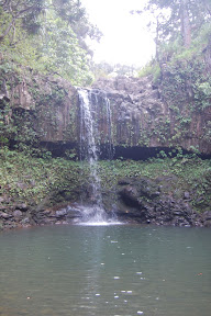 DSC_0703.jpg