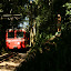 Near the top you hit the railway, which is how all the sane people get up there!