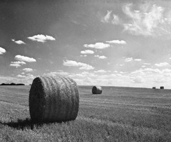 Hay-Bales-4