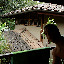 Costa Rica Paige Tamarindo