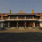 DSC_8223.jpg