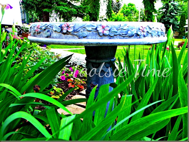 BeFunky_222.jpg BeFunky_222.jpg