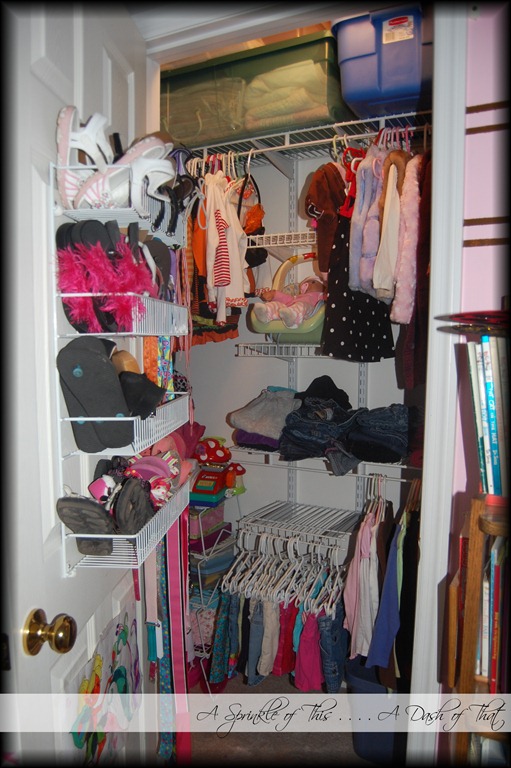 [Child%2520Closet%2520Before%2520%257BA%2520Sprinkle%2520of%2520This%2520.%2520.%2520.%2520.%2520A%2520Dash%2520of%2520That%257D%255B9%255D.jpg]