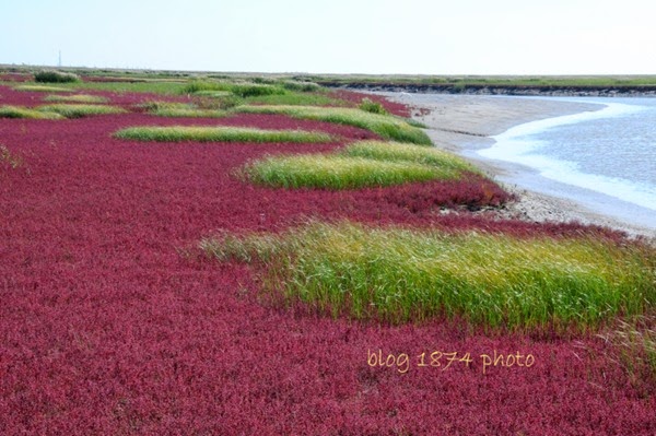 [SYG_4392%255B2%255D.jpg]