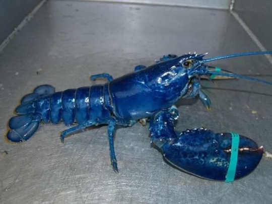 [viral-picdump-pics-44%255B2%255D.jpg]