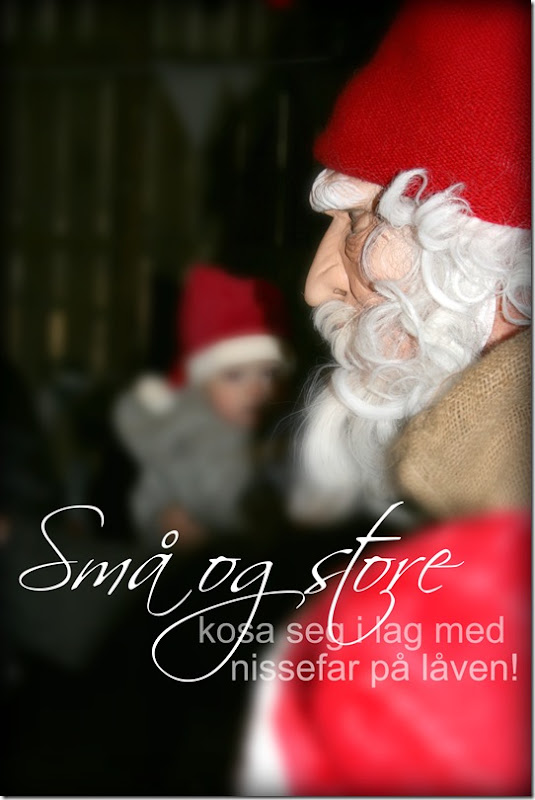 IMG_4762 copy