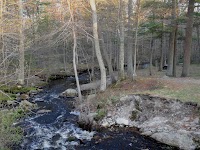 DSC03189_new.jpg