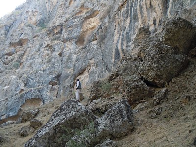 DSCN4008.jpg