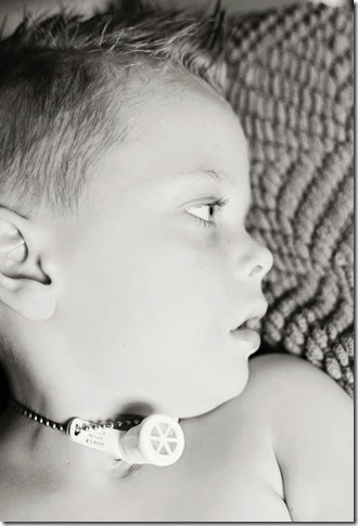 IMG_6721 IMG_6721