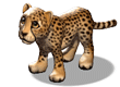 [cheetah-adult_110x80%255B2%255D.gif]