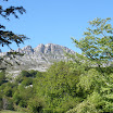 P5230472.JPG