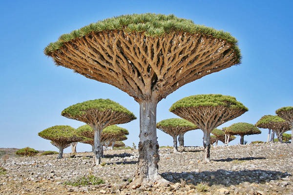 6- O lugar mais alienígena na Terra 6- O lugar mais alienígena na Terra
