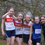 Kly Schools XC 14.11.2012