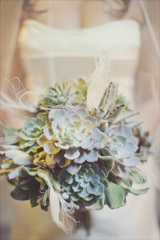 [00833-holly-flora-and-our-labor-of-l%255B2%255D.jpg]