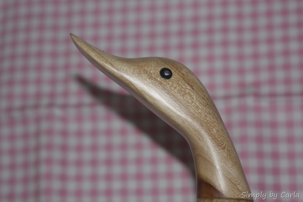 [IMG_5735%255B9%255D.jpg]