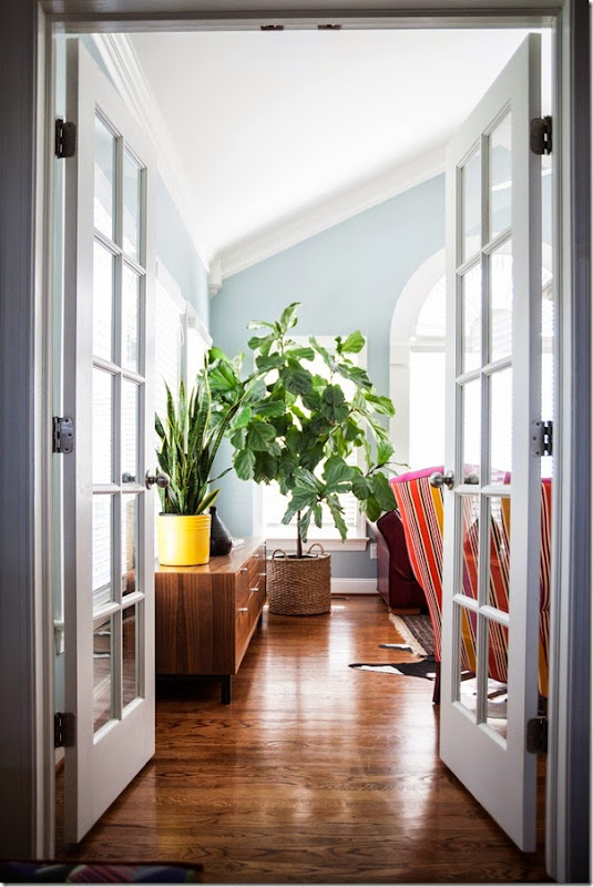 How I Care for My Fiddle Leaf Fig(Ficus Lyrata) - design addict mom How I Care for My Fiddle Leaf Fig(Ficus Lyrata) - design addict mom