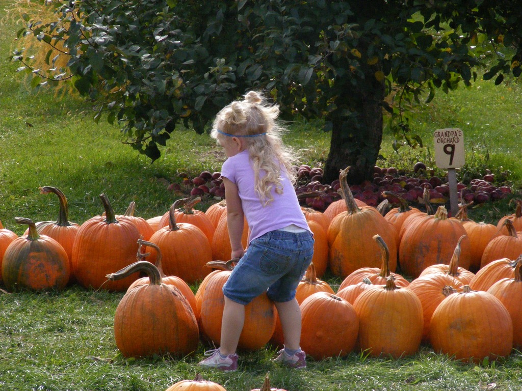 [October%252015%25202011%2520053%255B3%255D.jpg]