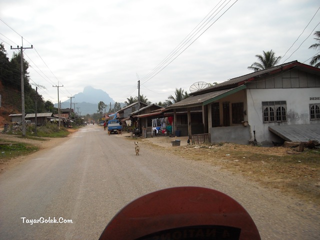 [DSCN81315.jpg]