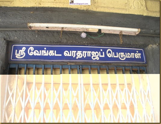 DSCN3629 DSCN3629