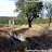 SILO TIO TERCERO