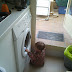 2011-10-22 12.18.33.jpg