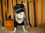Tough biker guy Doc here shares, 