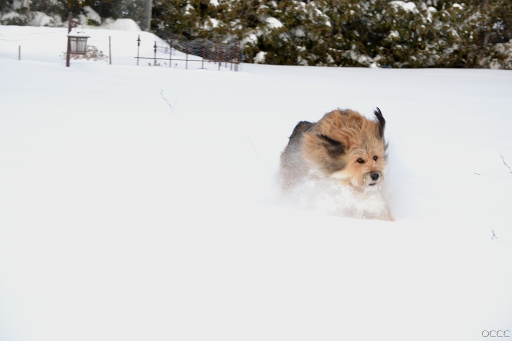 [DSC_6342%255B9%255D.jpg]