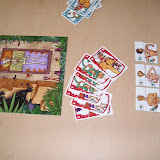 Nk bordspellen Ducosim