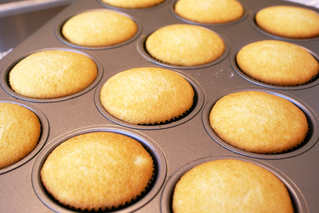 [VanillaCupcakes%255B5%255D.jpg]