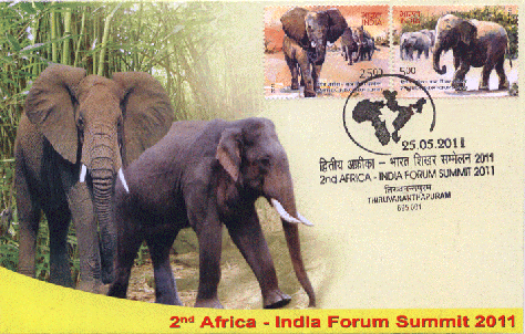 elephant front 1