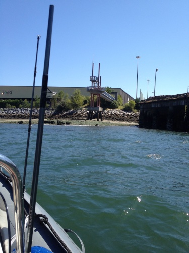 IMG_3303.jpg IMG 3303