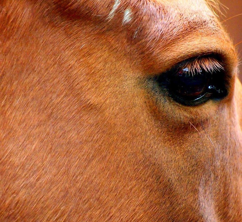 [21%2520Jan%252023%255B3%255D.jpg]