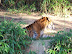 National Zoo in August