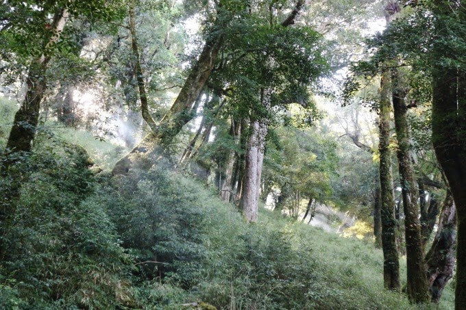 2014_1005_081109 2014_1005_081109