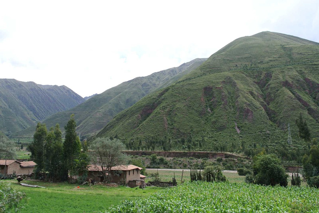 [DSC_66433.jpg]